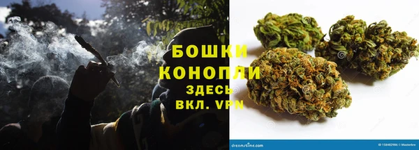 ешки Арсеньев