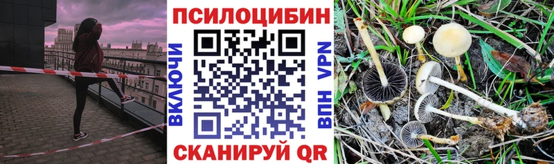 Галлюциногенные грибы Magic Shrooms  Купить закладки  Дюртюли 